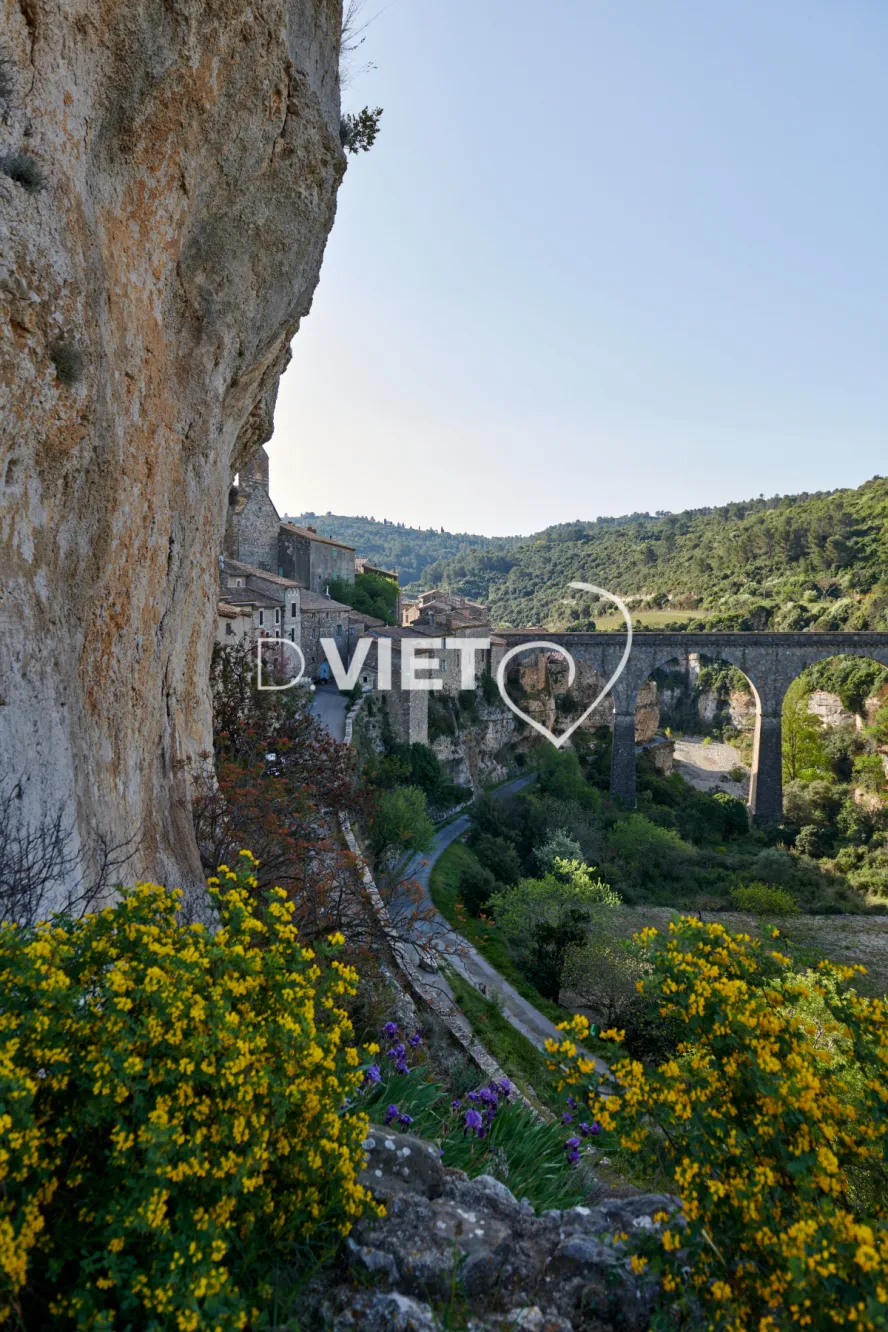 Photo TOULOUSE by VIET - MINERVE