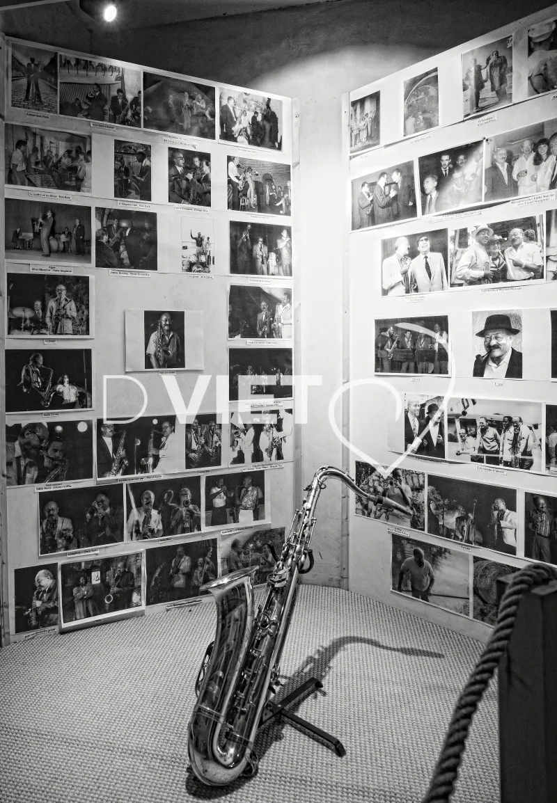 Photo TOULOUSE by VIET - Jazz in Marciac