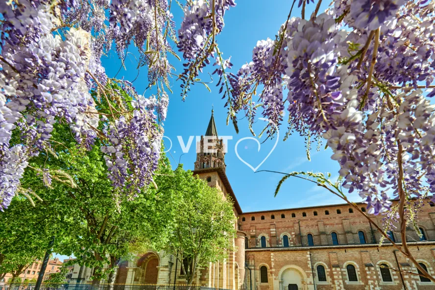 Photo TOULOUSE by VIET - Place de Saint-Sernin et ses glycines