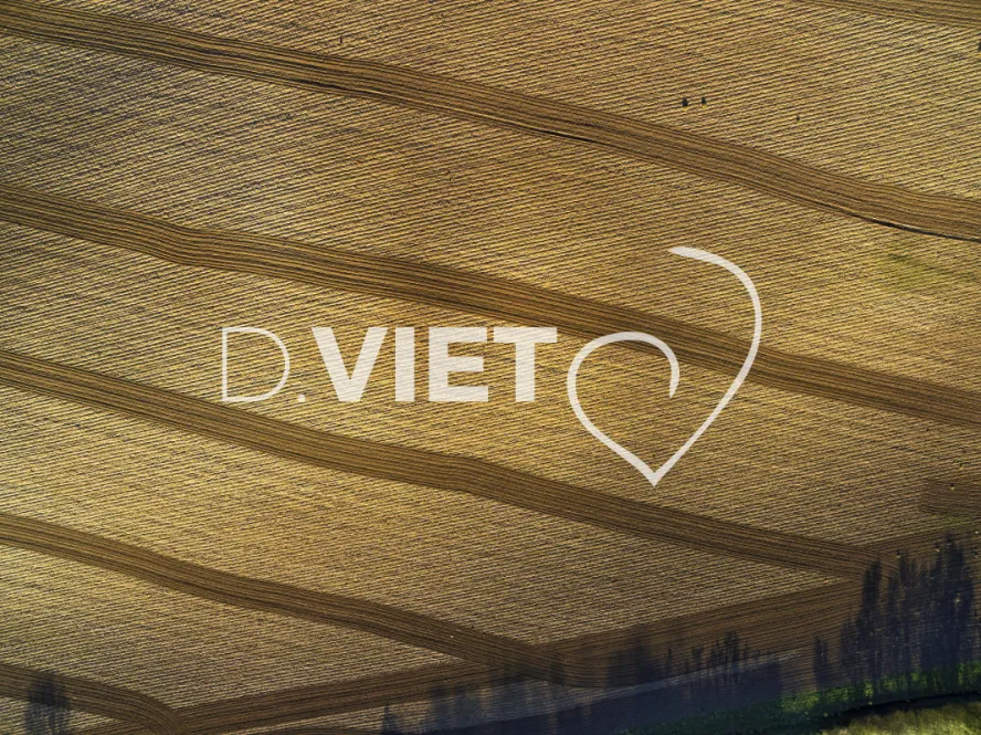 Photo TOULOUSE by VIET - TRACES