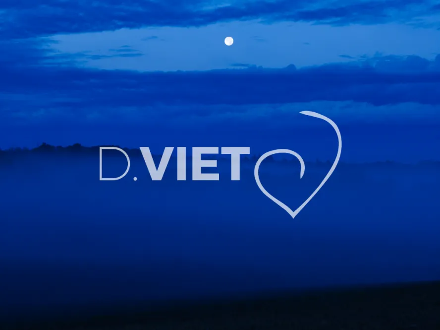 Photo TOULOUSE by VIET - BRUME