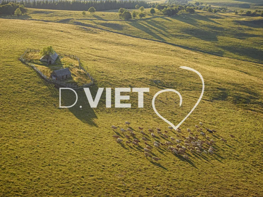 Photo TOULOUSE by VIET - Buron Aubrac