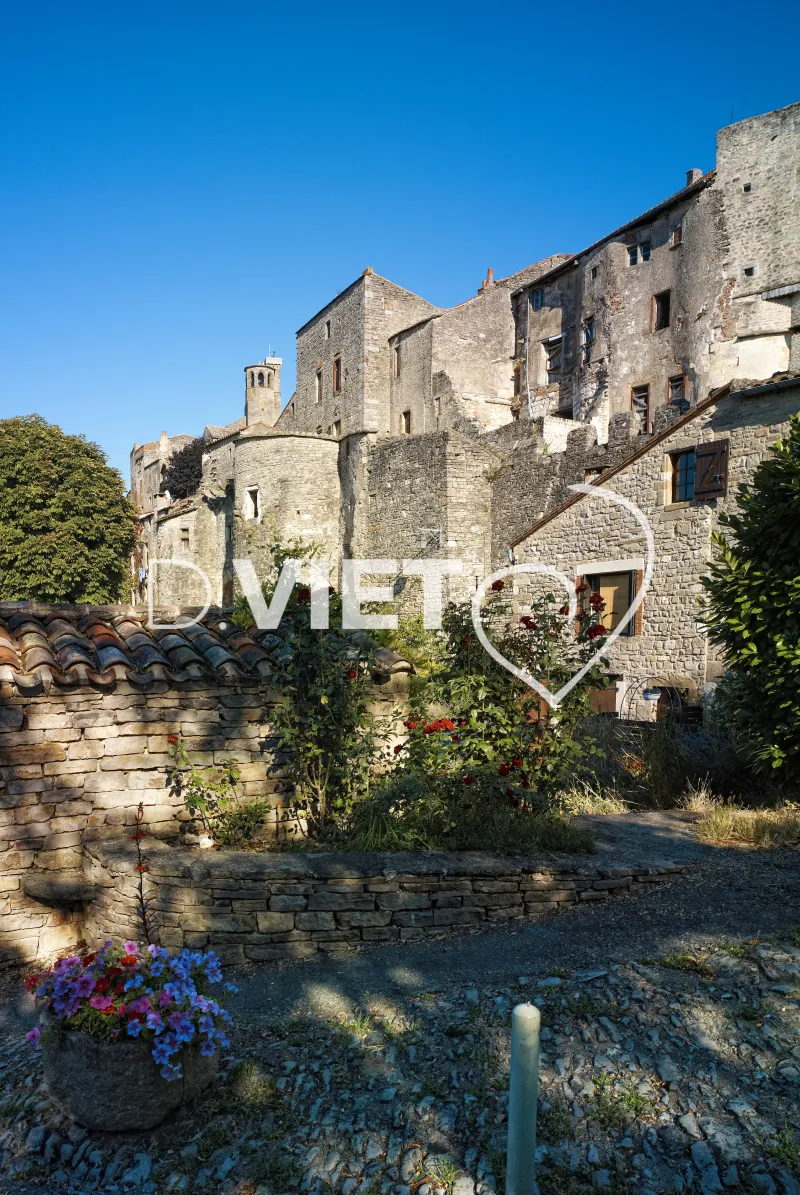 Photo TOULOUSE by VIET - VIET_003121