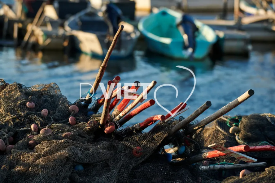Photo TOULOUSE by VIET - Village de pecheurs