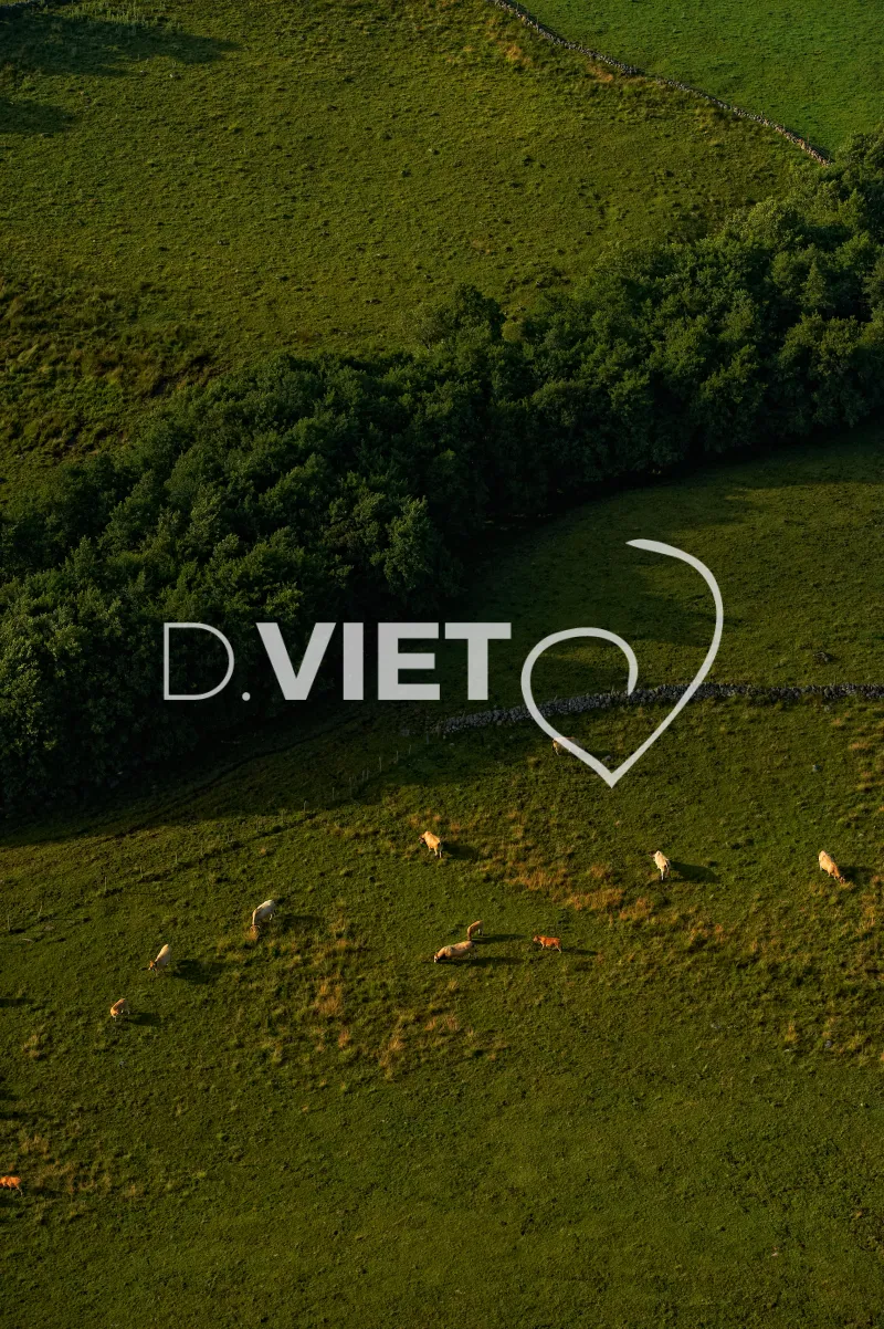 Photo TOULOUSE by VIET - Laguiole