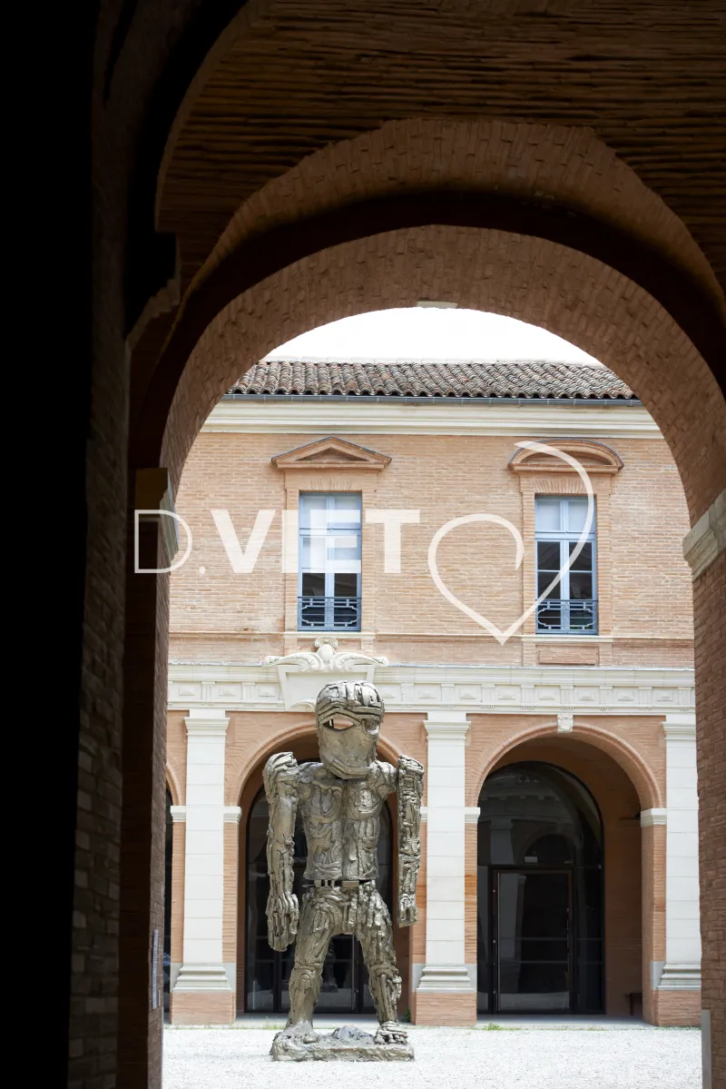 Photo TOULOUSE by VIET - VIET_006977