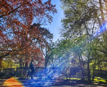 Photo TOULOUSE by VIET - Jardin Royal