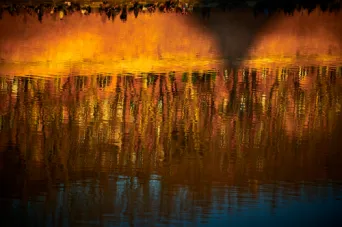 Photo TOULOUSE by VIET - Garonne Les quais