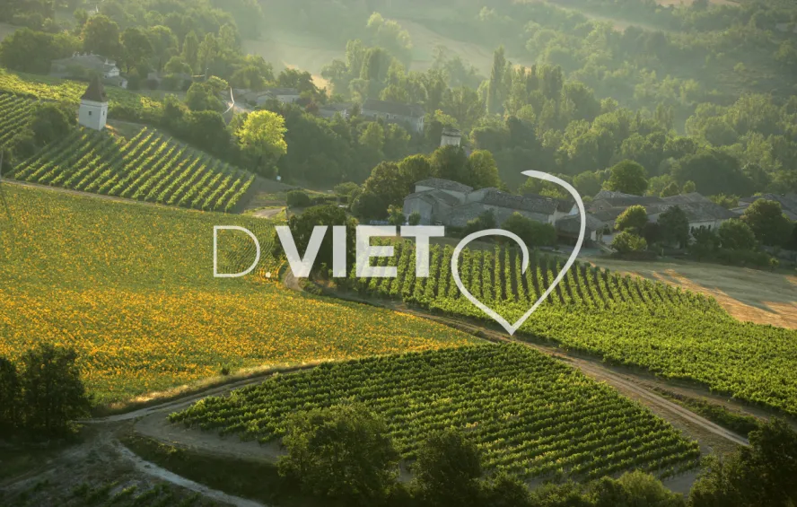 Photo TOULOUSE by VIET - 81 ENTRE CASTELNAU de MONTMIRAIL ET CAYLA N43°57549 E001°49111 ©VIET 361.com