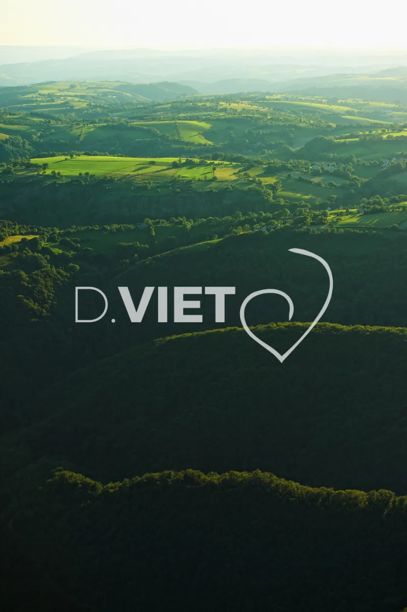 Photo TOULOUSE by VIET - VIET_005955