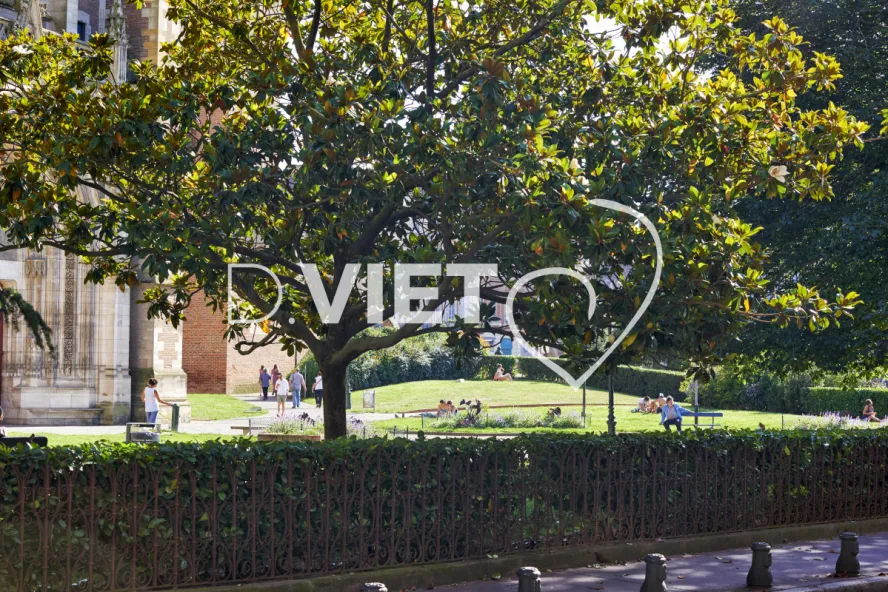 Photo TOULOUSE by VIET - Saint ETIENNE