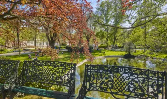 Photo TOULOUSE by VIET - Jardin Royal