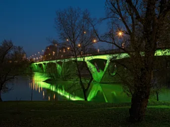 Photo TOULOUSE by VIET - Illuminations du pont Saint Michel