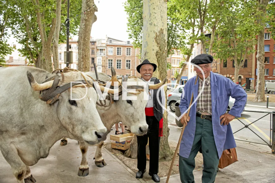 Photo TOULOUSE by VIET - Grand Fenetra