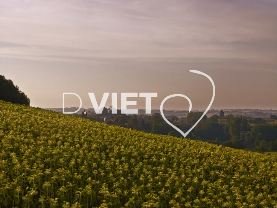 Photo TOULOUSE by VIET - VIET_008032