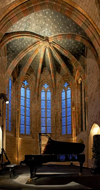Photo TOULOUSE by VIET - Piano aux Jacobins