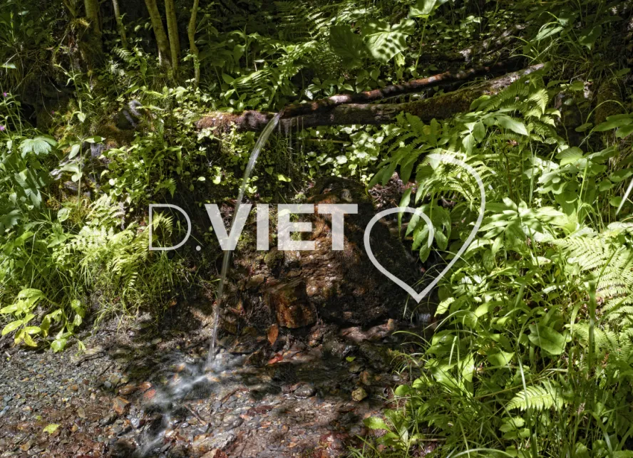 Photo TOULOUSE by VIET - chemin