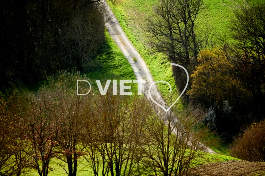 Photo TOULOUSE by VIET - Cheminement de la colline