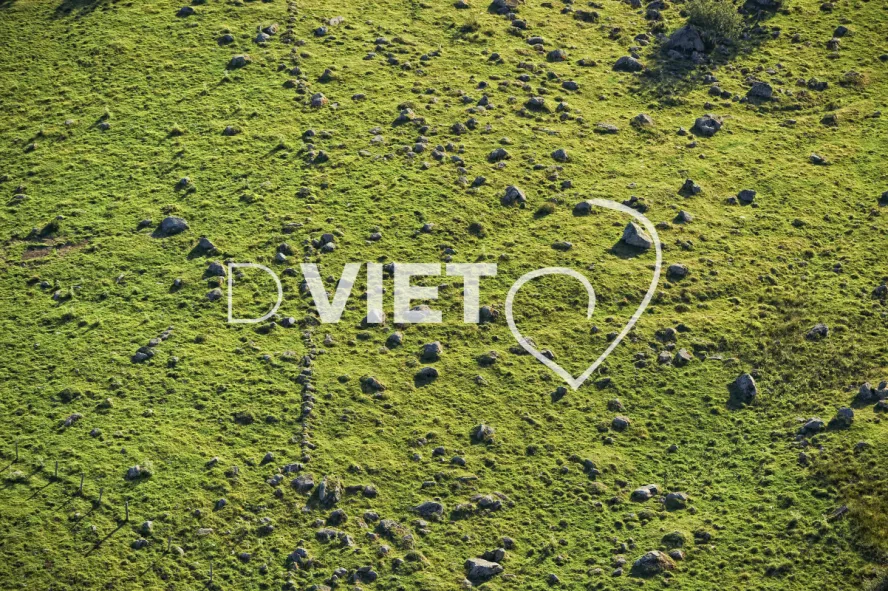 Photo TOULOUSE by VIET - Buron Aubrac