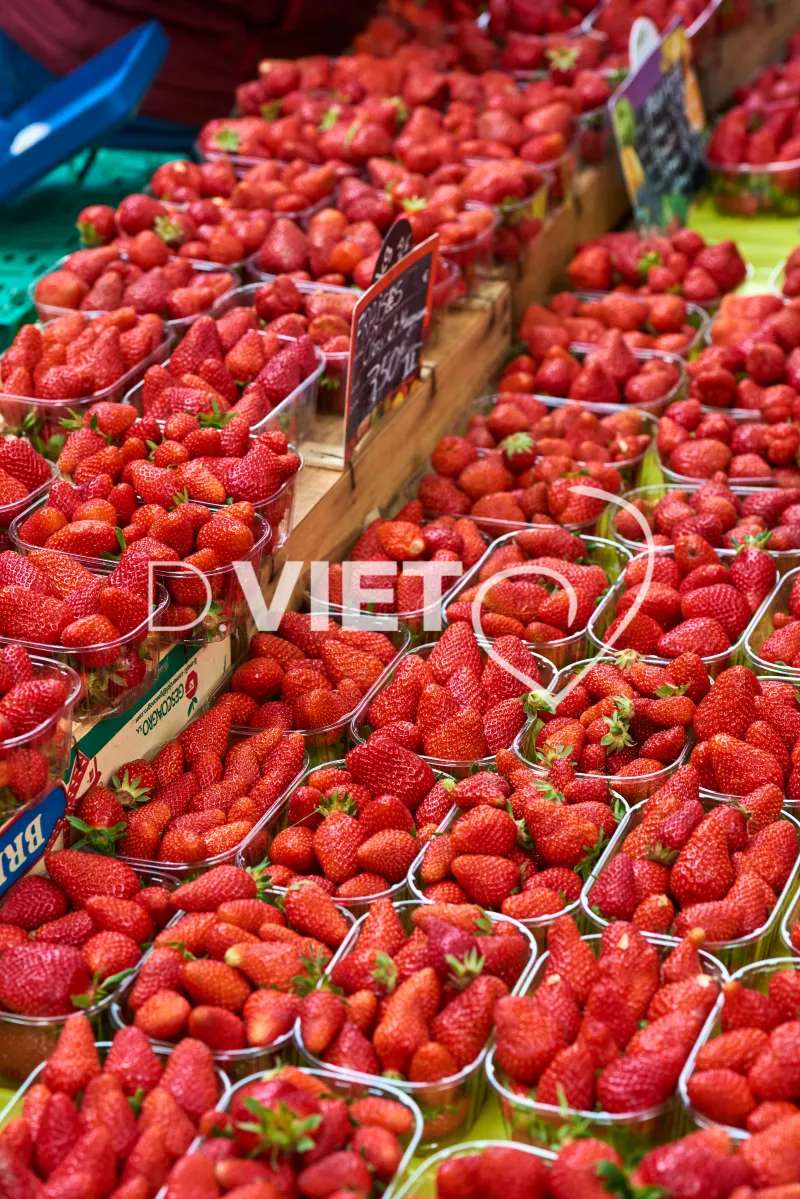 Photo TOULOUSE by VIET - VIET_008903