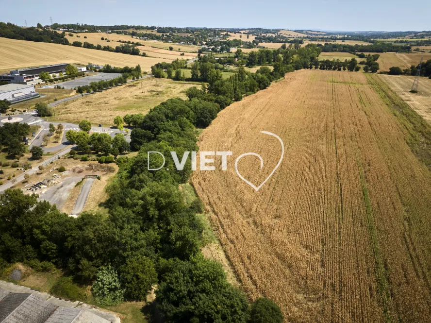 Photo TOULOUSE by VIET - QUINT FONSEGRIVES Habitat Pavillonnaire