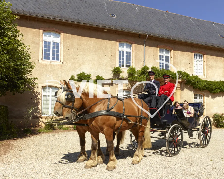 Photo TOULOUSE by VIET - Les Haras nationaux de Rodez