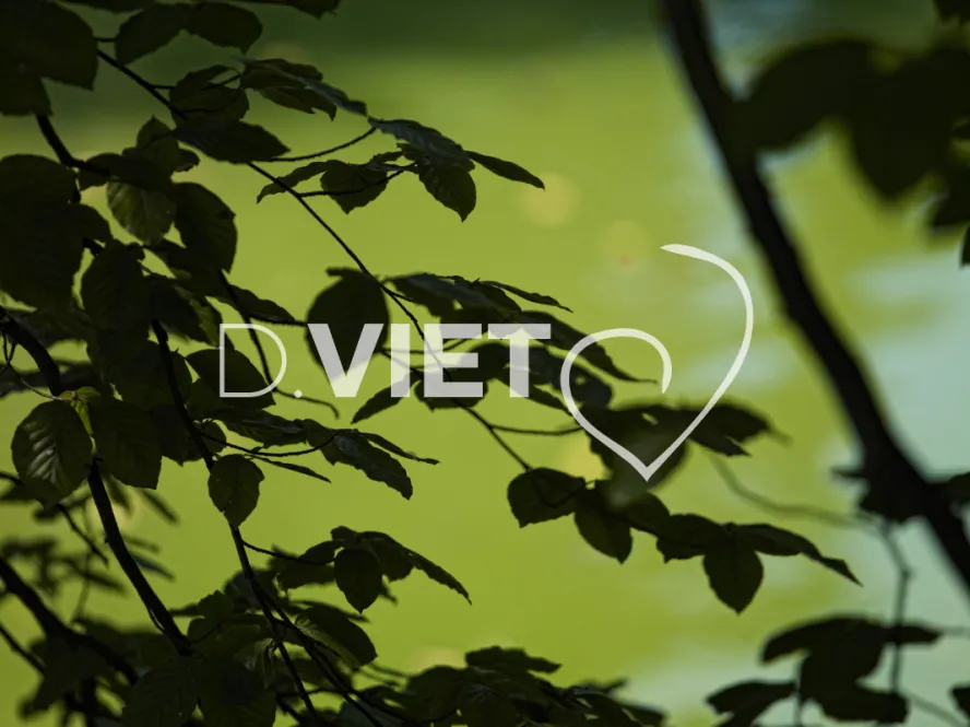 Photo TOULOUSE by VIET - Jardin des plantes