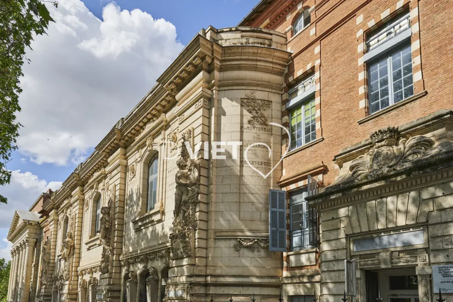 Photo TOULOUSE by VIET - VIET_013631