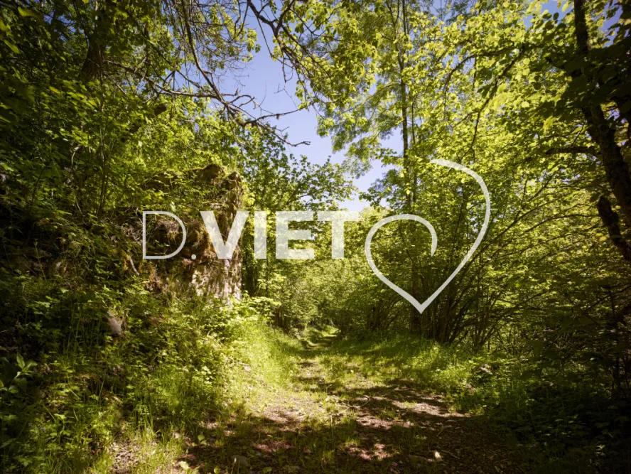 Photo TOULOUSE by VIET - chemin