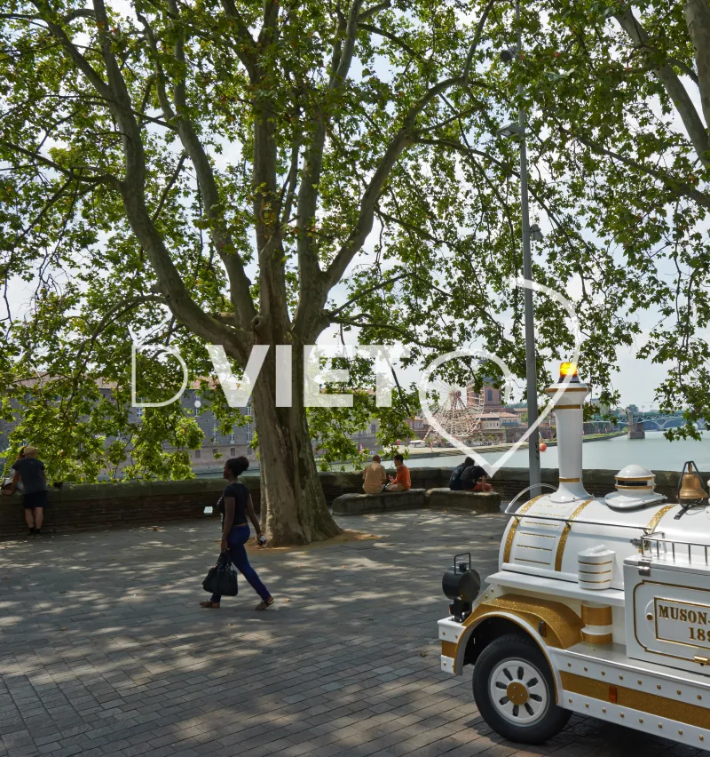 Photo TOULOUSE by VIET - Petit train touristique Place De la Daurade