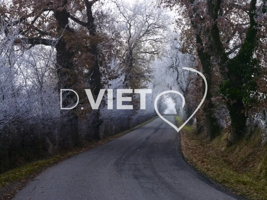 Photo TOULOUSE by VIET - VIET_008035