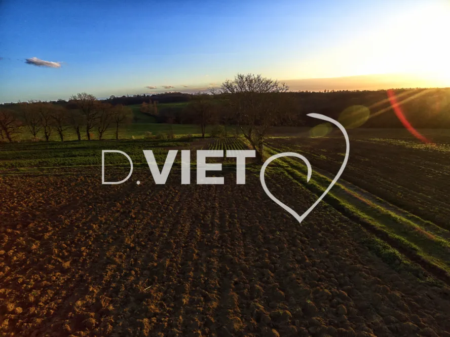 Photo TOULOUSE by VIET - TRACES