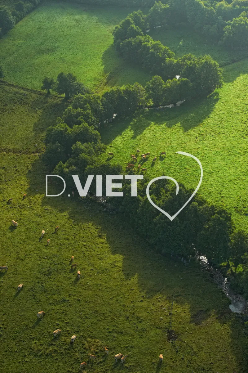 Photo TOULOUSE by VIET - Laguiole