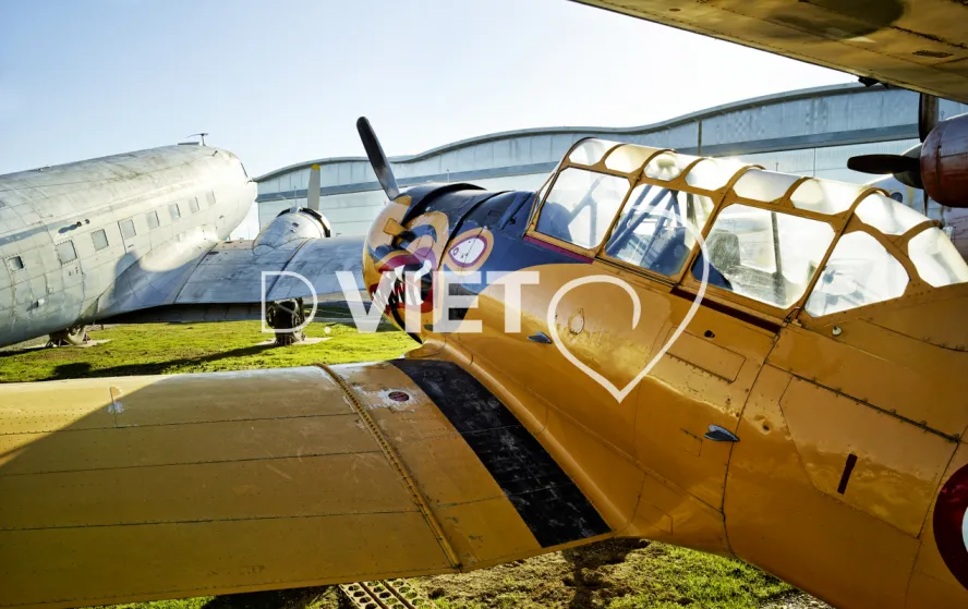 Photo TOULOUSE by VIET - AILES ANCIENNES