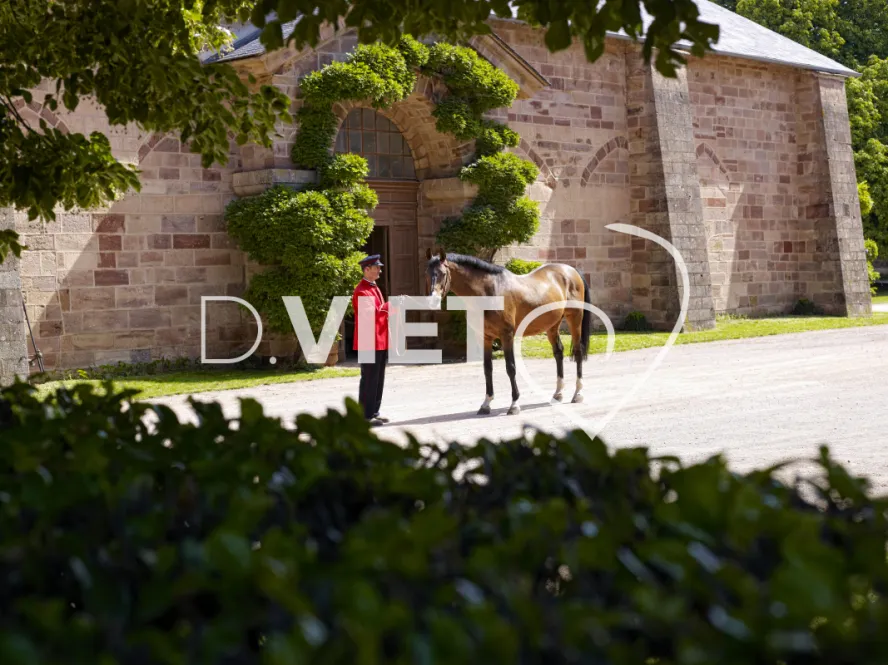 Photo TOULOUSE by VIET - Haras de Rodez
