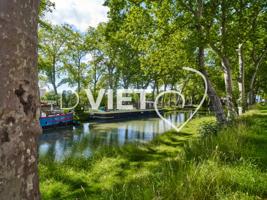 Photo TOULOUSE by VIET - Canal du midi