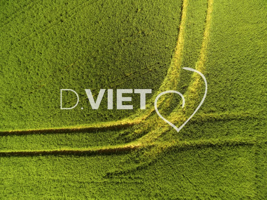 Photo TOULOUSE by VIET - COLZA LAURAGAIS