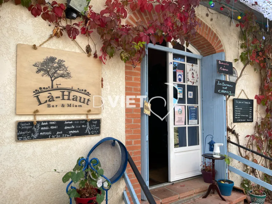 Photo TOULOUSE by VIET - VIET_012855