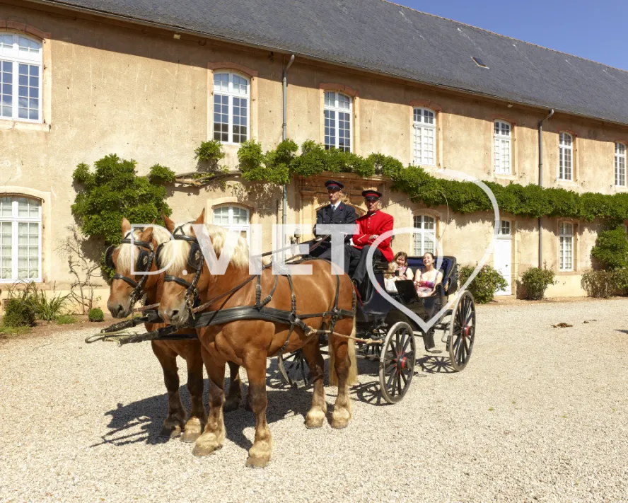 Photo TOULOUSE by VIET - Les Haras nationaux de Rodez