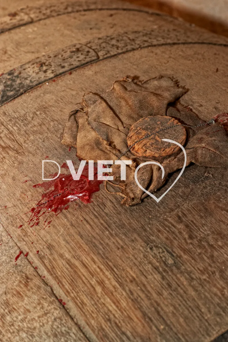 Photo TOULOUSE by VIET - Chateau Cassaigne