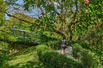 Photo TOULOUSE by VIET - Jardin du grand Rond