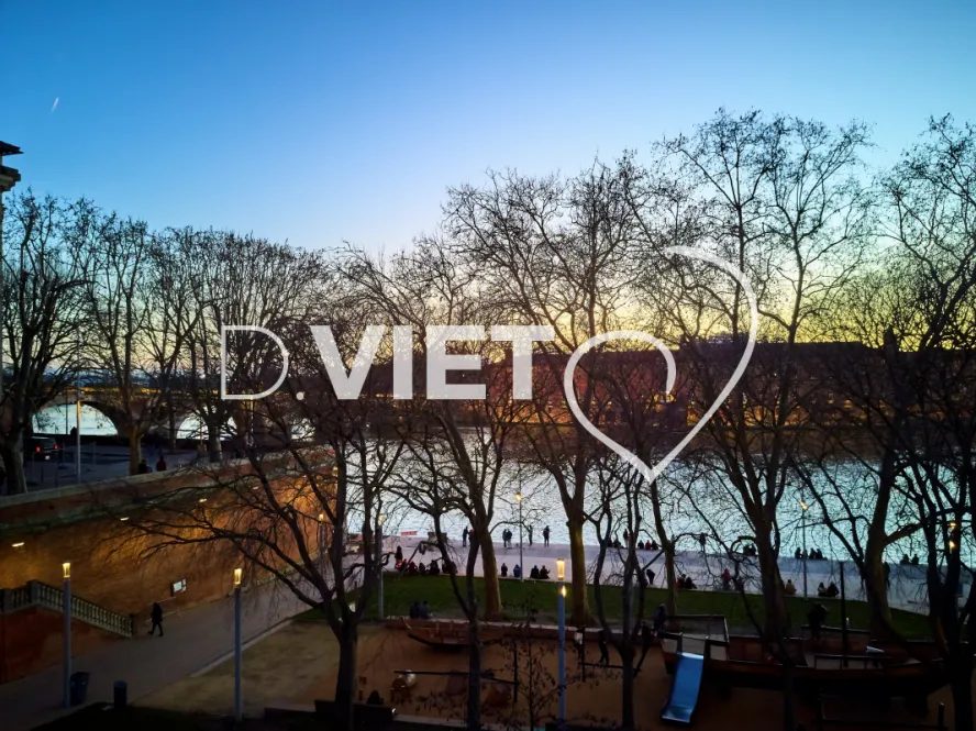 Photo TOULOUSE by VIET - Daurade