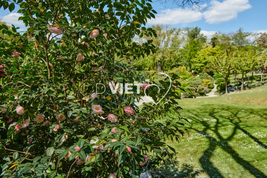 Photo TOULOUSE by VIET - Jardin Japonais