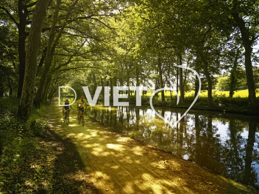 Photo TOULOUSE by VIET - Canal du midi