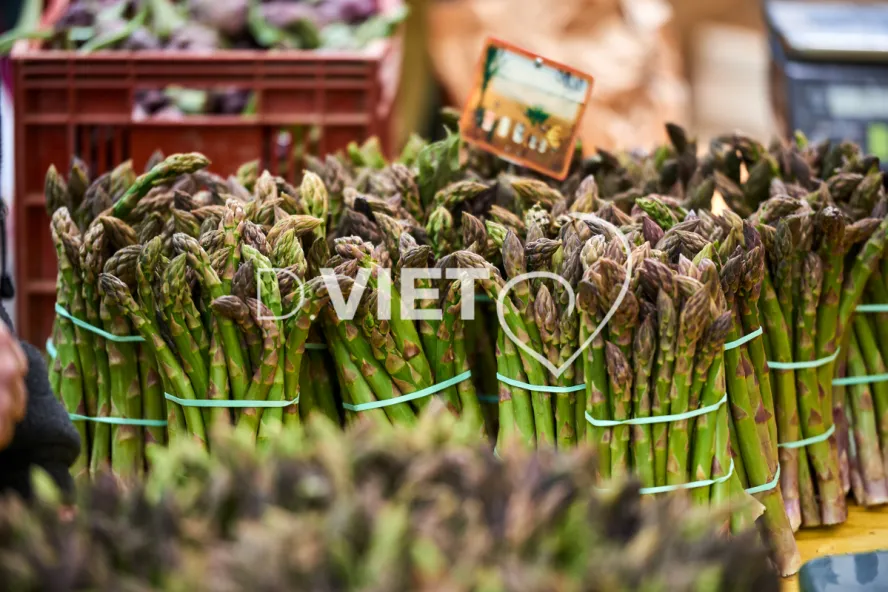 Photo TOULOUSE by VIET - VIET_008889