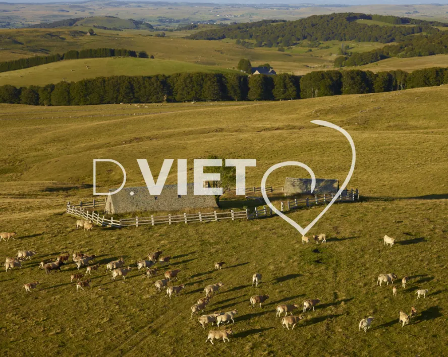 Photo TOULOUSE by VIET - Buron Aubrac