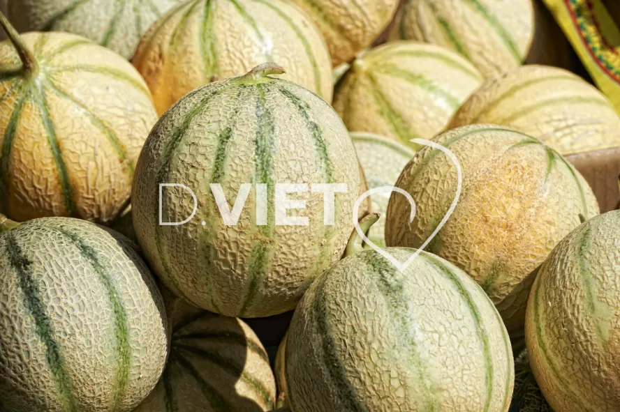 Photo TOULOUSE by VIET - MARCHE DE RODEZ