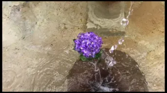 Vid&eacute;o TOULOUSE by VIET - Projet sans titre