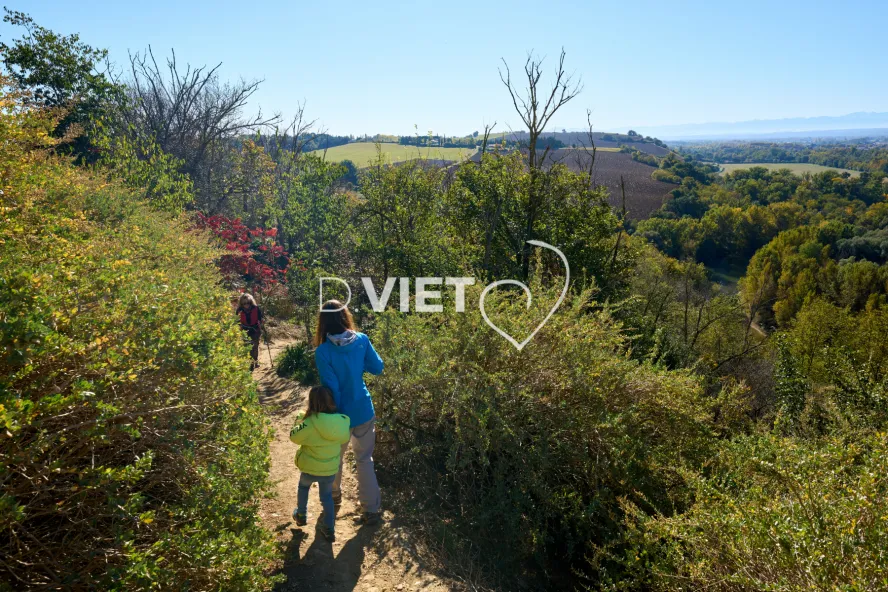 Photo TOULOUSE by VIET - Les contreforts