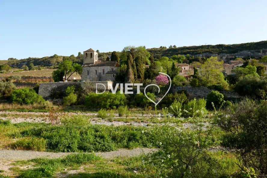 Photo TOULOUSE by VIET - La Caunette et ses verts flous du ¨printemps